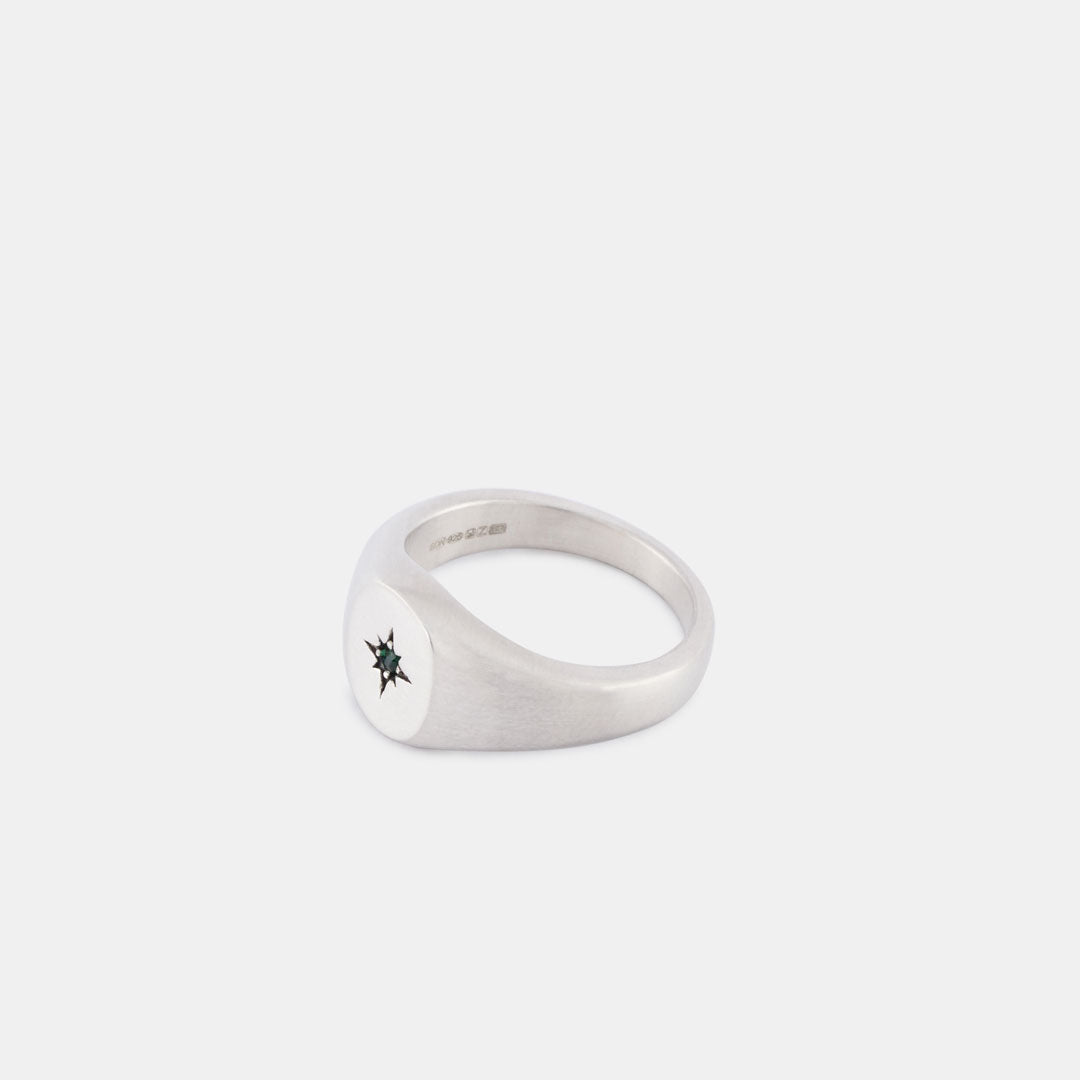 Silver Envy Signet Ring