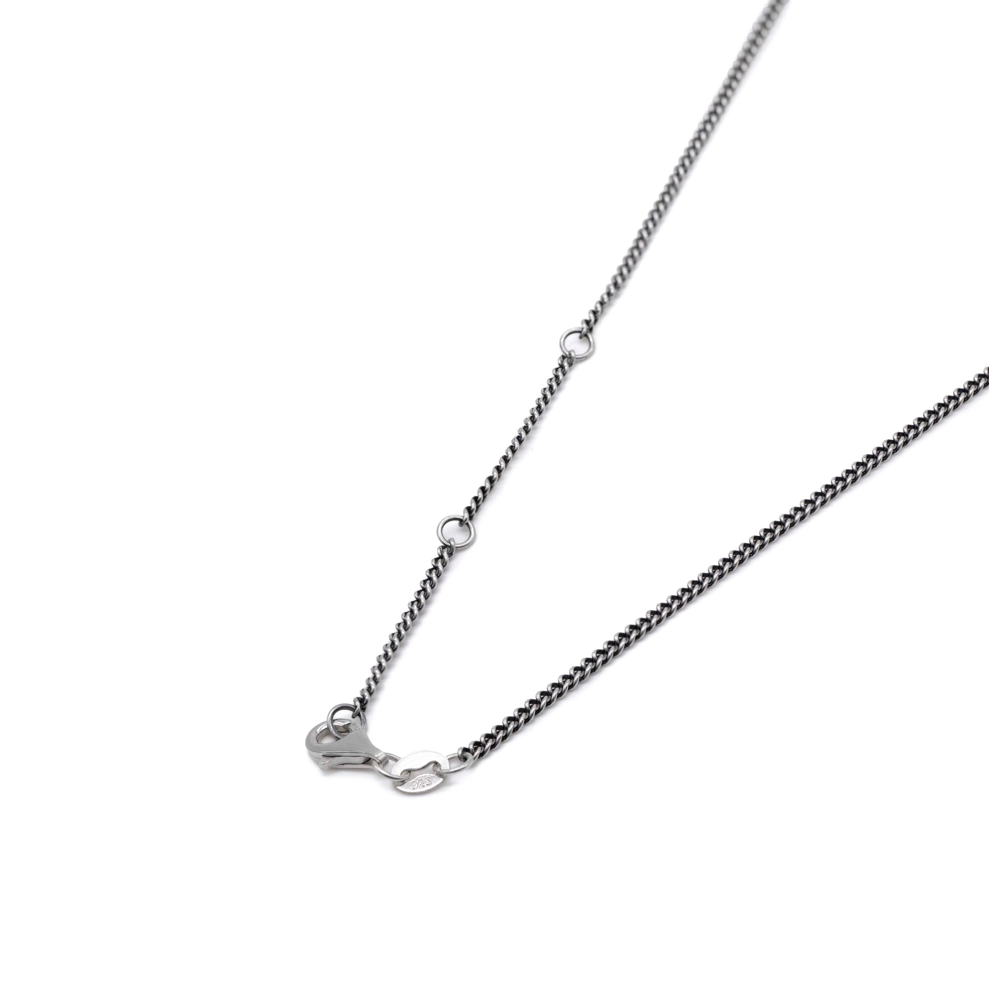 Silver Carpe Diem Necklace - Serge DeNimes
