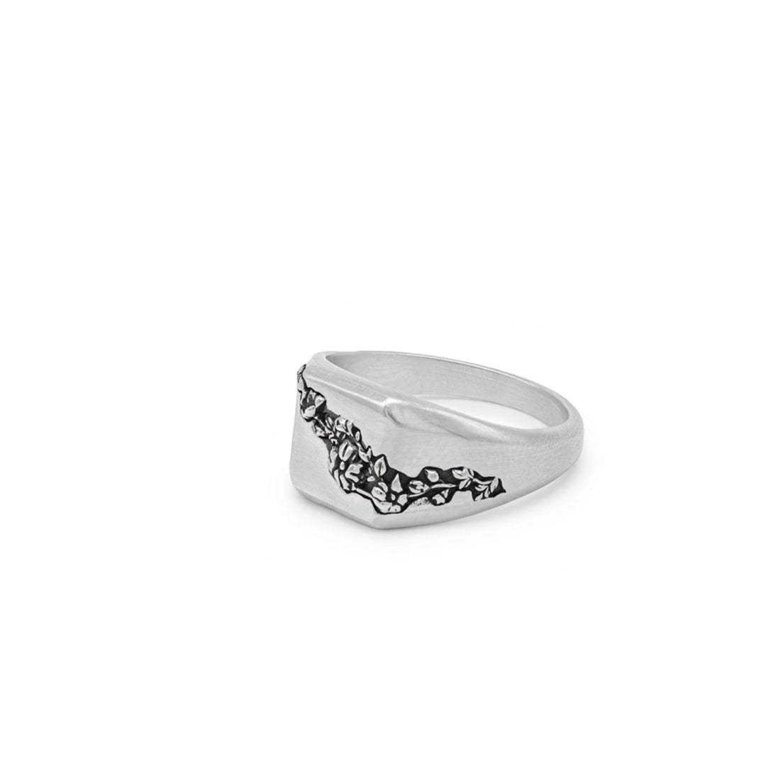 Silver Flora Ring - Serge DeNimes