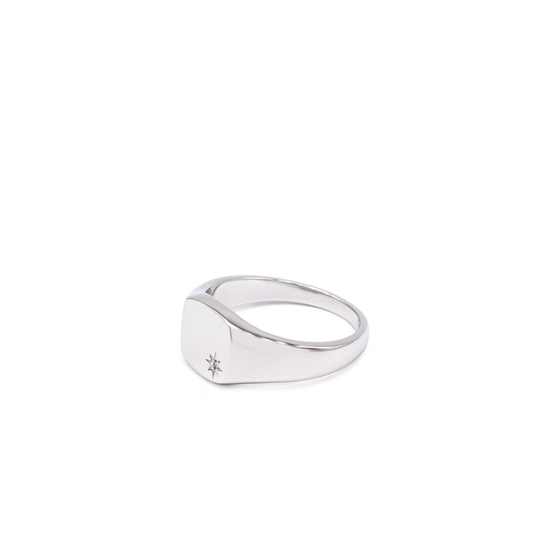 Silver Diamond Birthstone Ring - Serge DeNimes