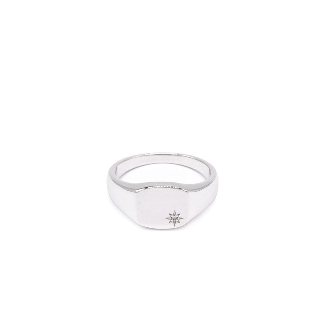 Silver Diamond Birthstone Ring - Serge DeNimes