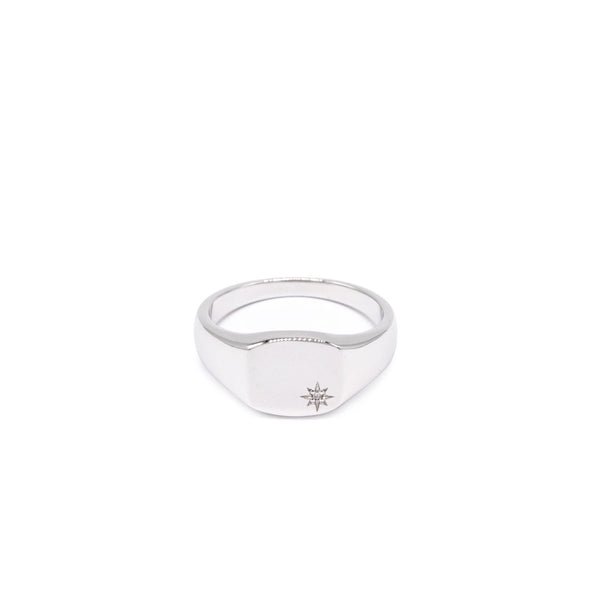 Silver Diamond Birthstone Ring - Serge DeNimes