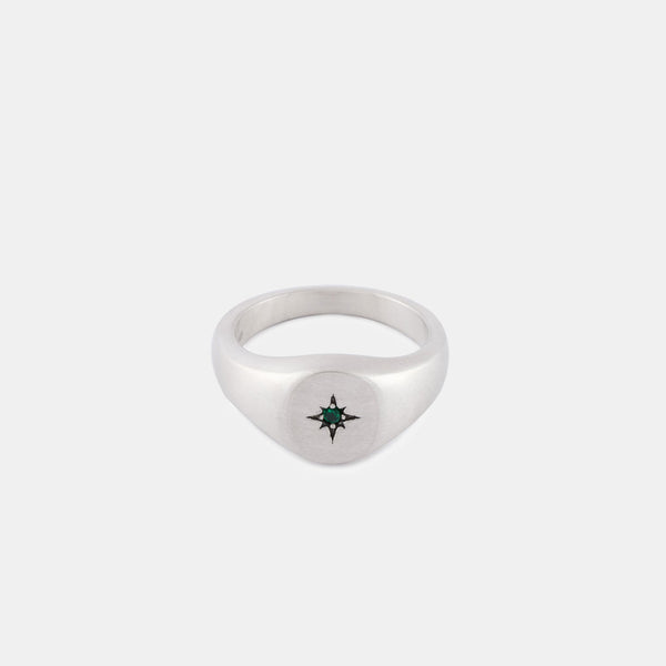 Silver Envy Signet Ring