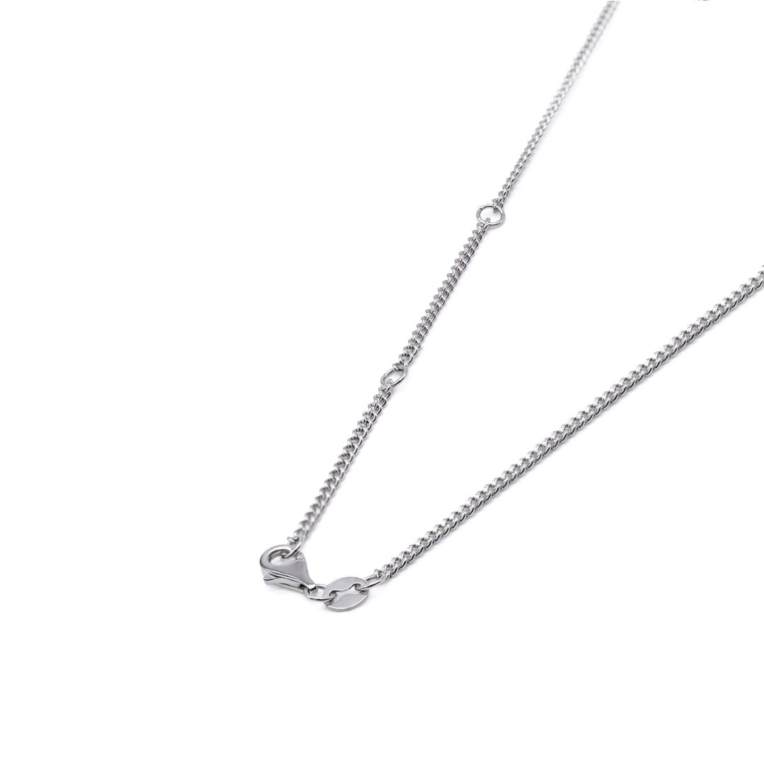 Silver Guardian Necklace - Serge DeNimes