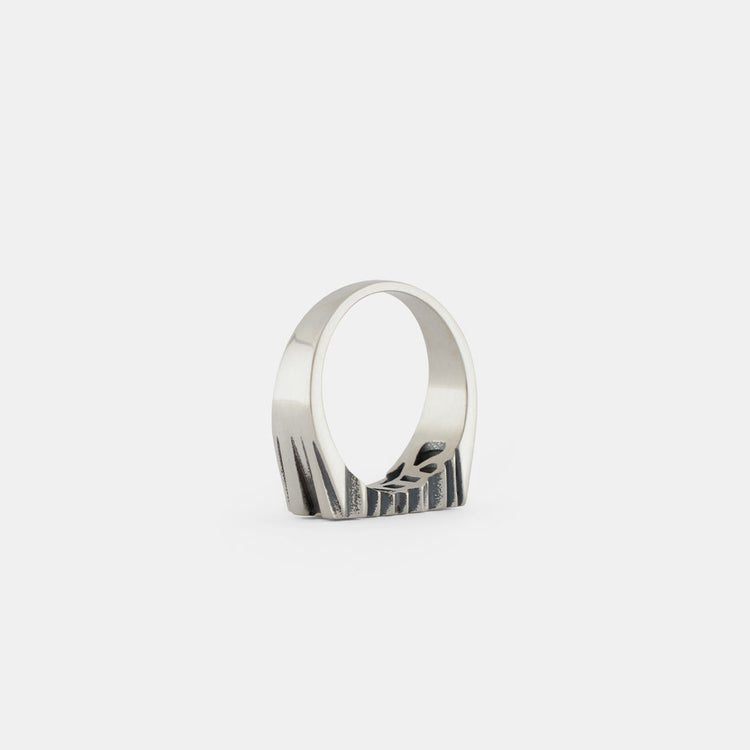 Silver Reverse Ring
