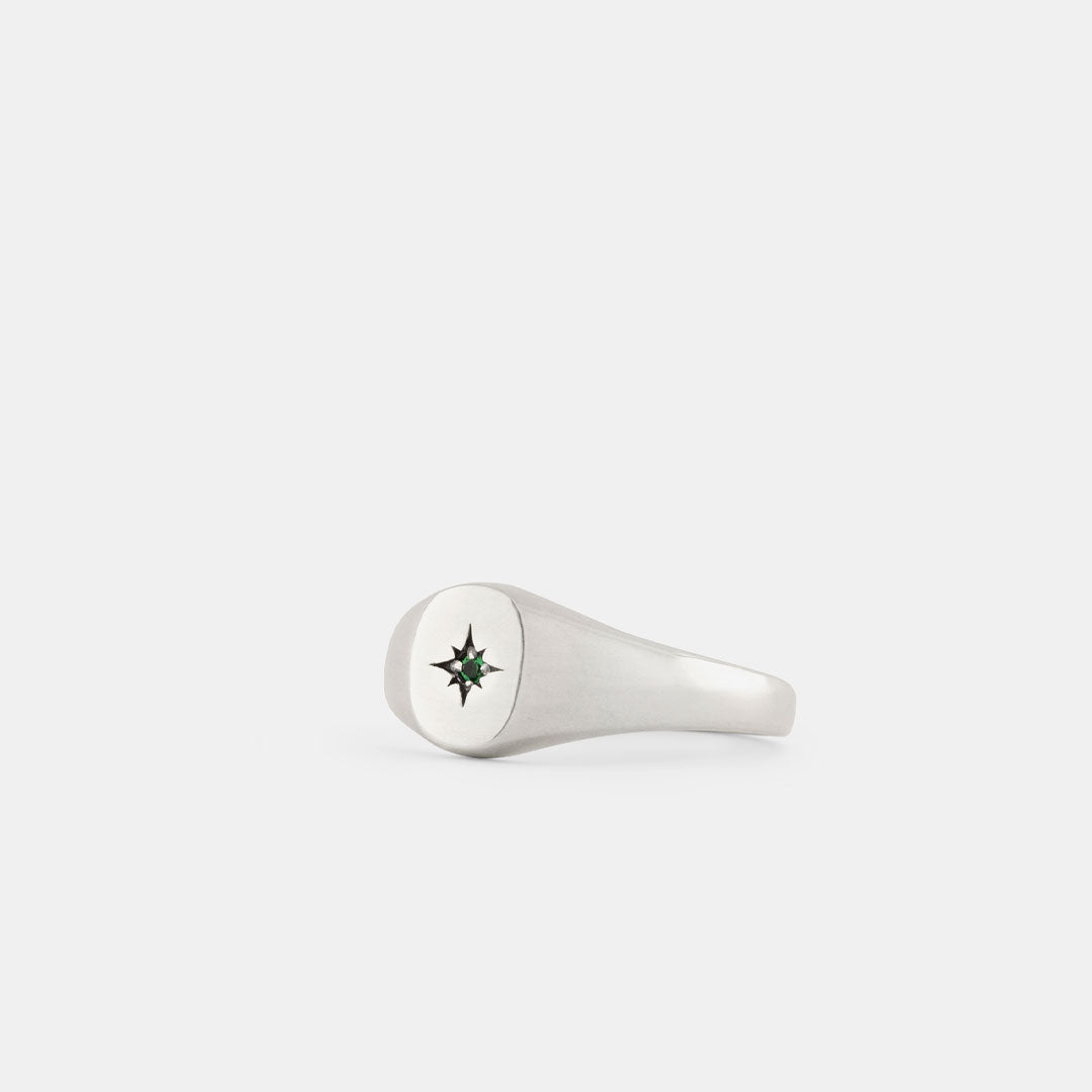 Silver Envy Signet Ring - Serge DeNimes