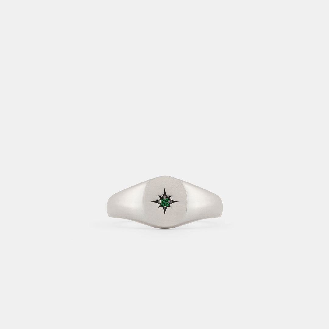 Silver Envy Signet Ring - Serge DeNimes