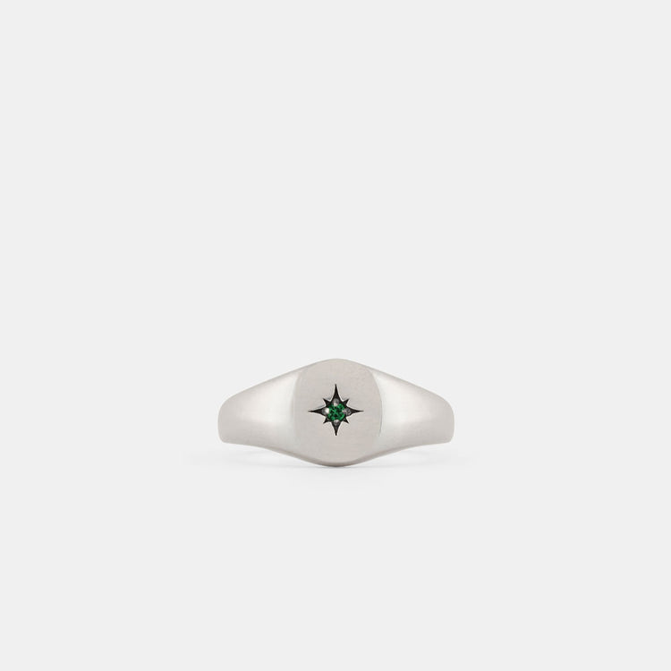 Silver Envy Signet Ring - Serge DeNimes