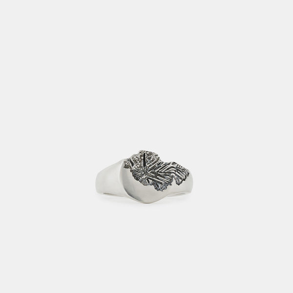 Silver Erode Ring - Serge DeNimes